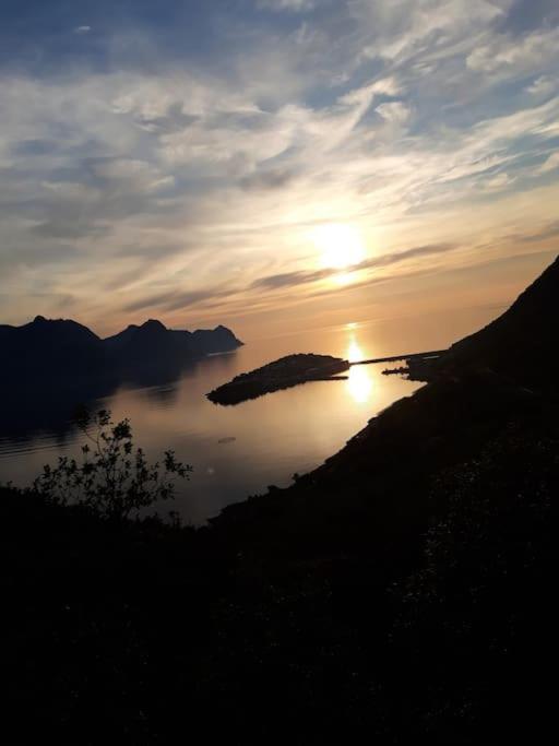 Senja, Husoy I Senja. Leilighet Med Utsikt Over Fjord Og Fjell Tofta Εξωτερικό φωτογραφία