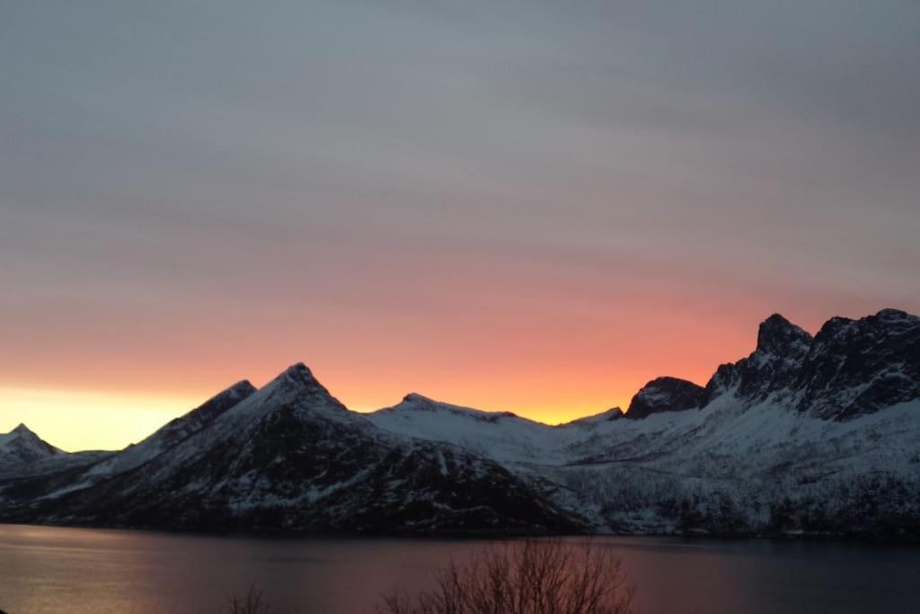Senja, Husoy I Senja. Leilighet Med Utsikt Over Fjord Og Fjell Tofta Εξωτερικό φωτογραφία